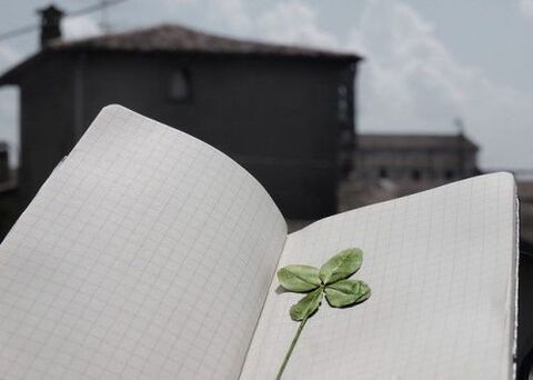 Four-leaf clover - lucky charm