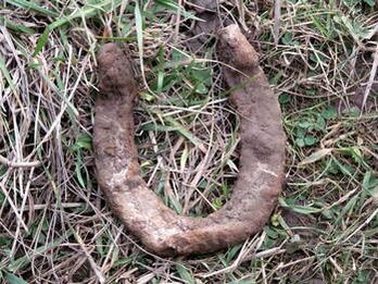 the found horseshoe will be used to make a talisman