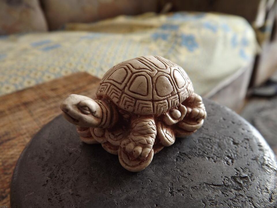 a turtle figurine as a good luck charm